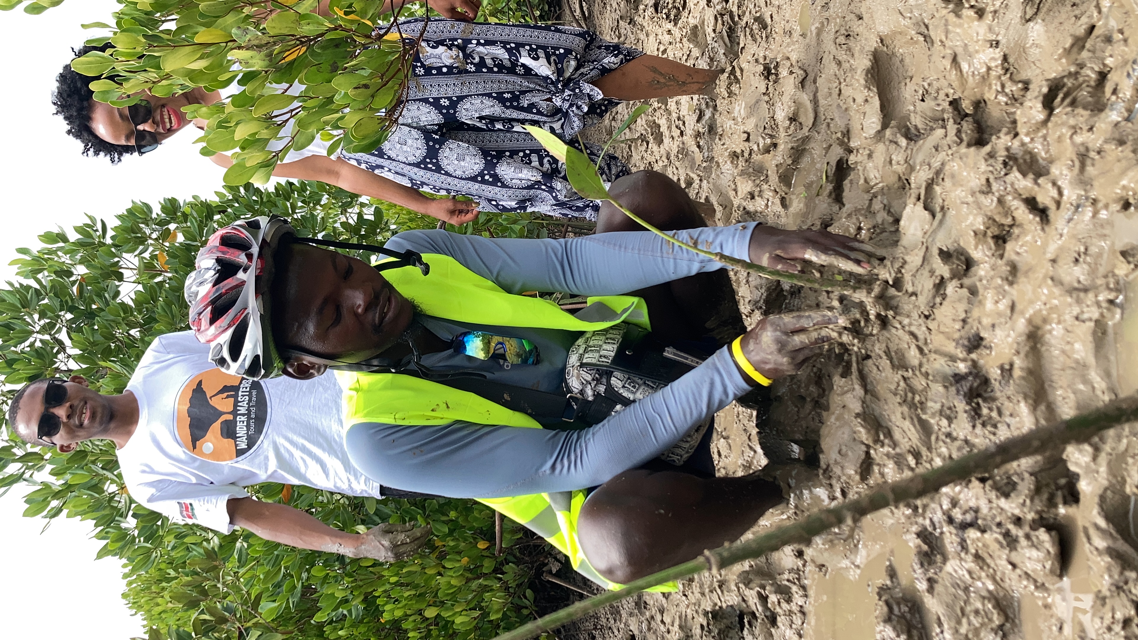 Mangrove restoration
